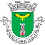 Gaviao